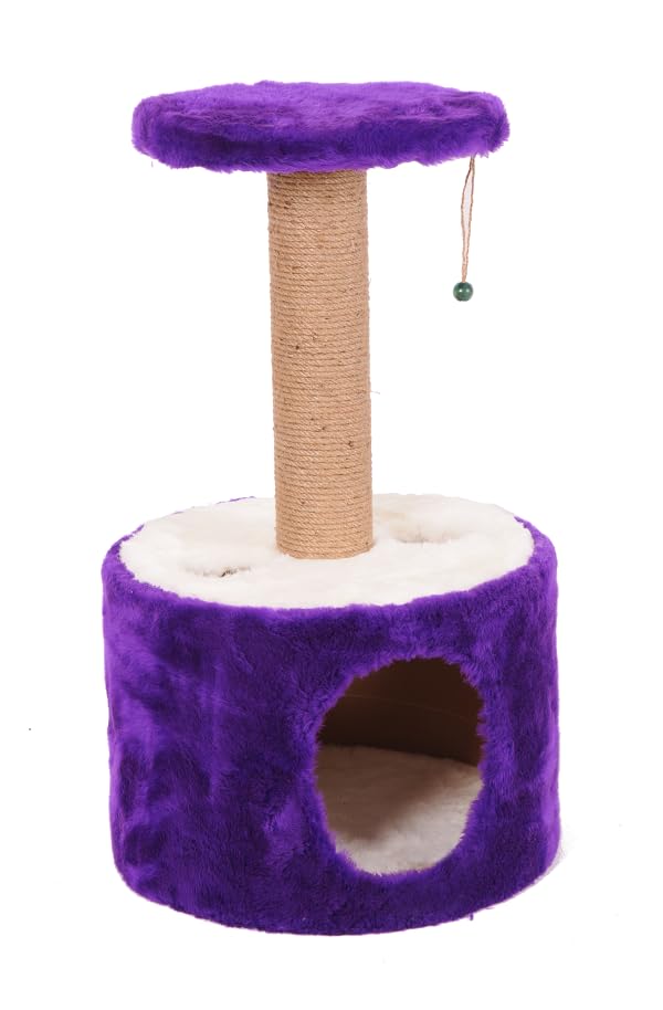 Mio Kedi Tırmalama, Roll, Mor