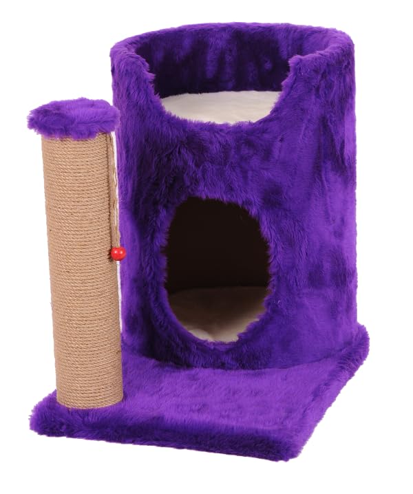 Mio Kedi Tırmalama, Ihlara, Mor