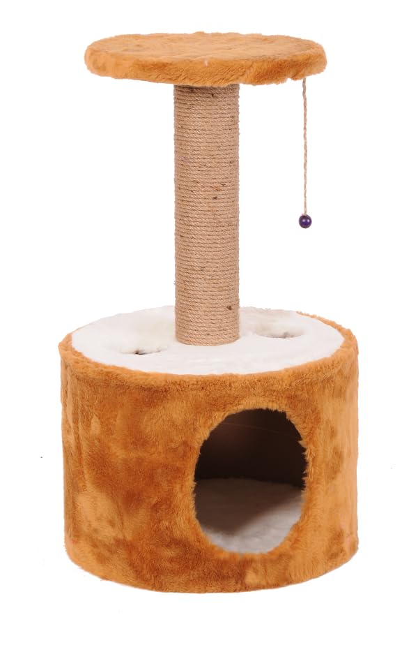 Mio Kedi Tırmalama, Roll, Kahverengi