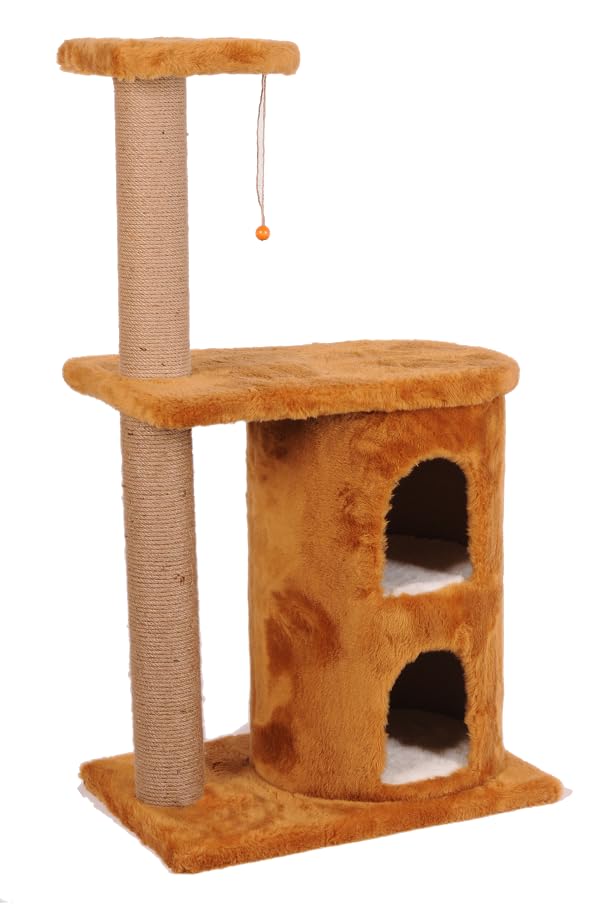 Mio Kedi Tırmalama, Myra, Kahverengi