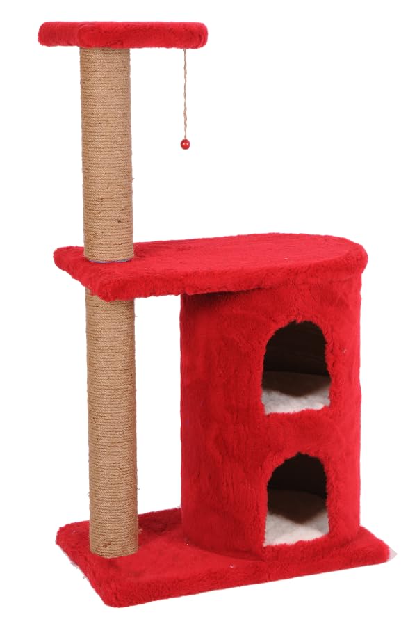 Mio Kedi Tırmalama, Myra, Kırmızı