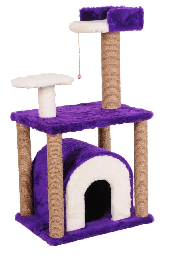 Mio Kedi Tırmalama, Efes, Mor