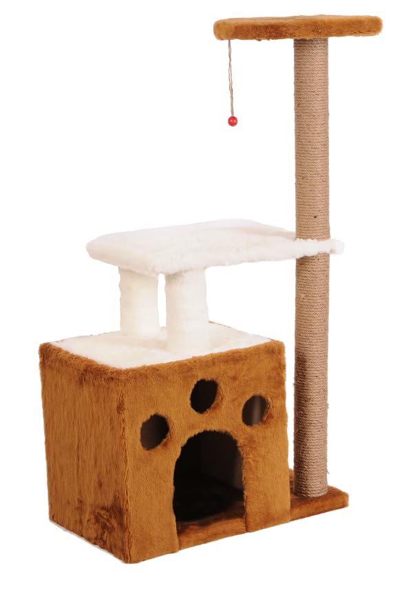 Mio Kedi Tırmalama, Gordion, Kahverengi