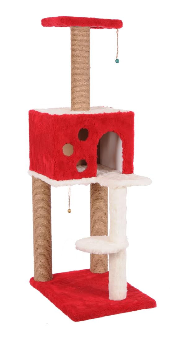 Mio Kedi Tırmalama, Nemrut, Kırmızı