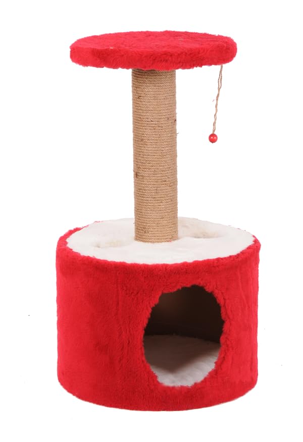 Mio Kedi Tırmalama, Roll, Kırmızı