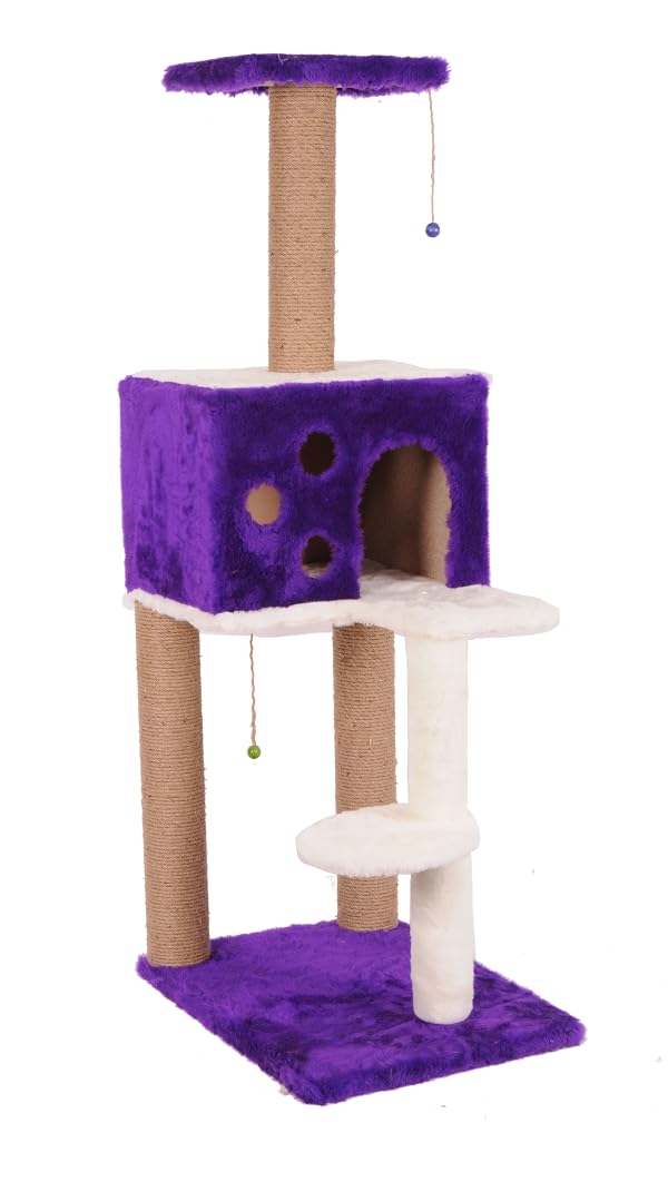 Mio Kedi Tırmalama, Nemrut, Mor