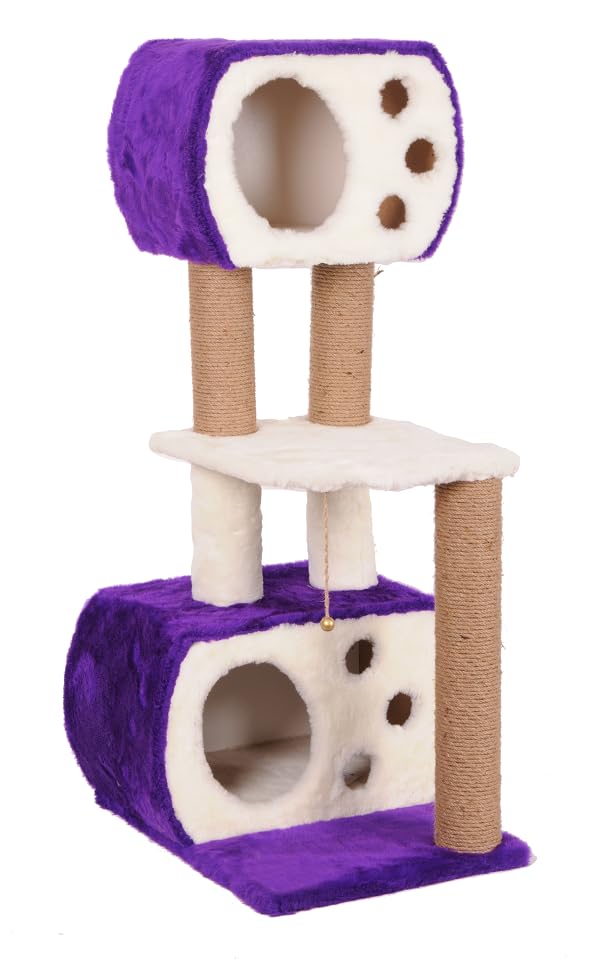 Mio Kedi Tırmalama, Aspendos, Mor