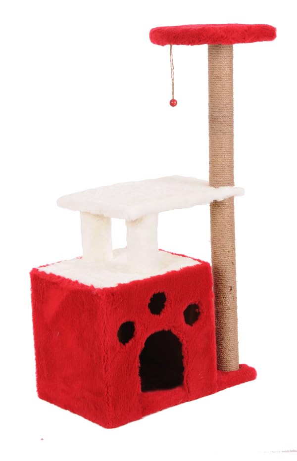 Mio Kedi Tırmalama, Gordion, Kırmızı