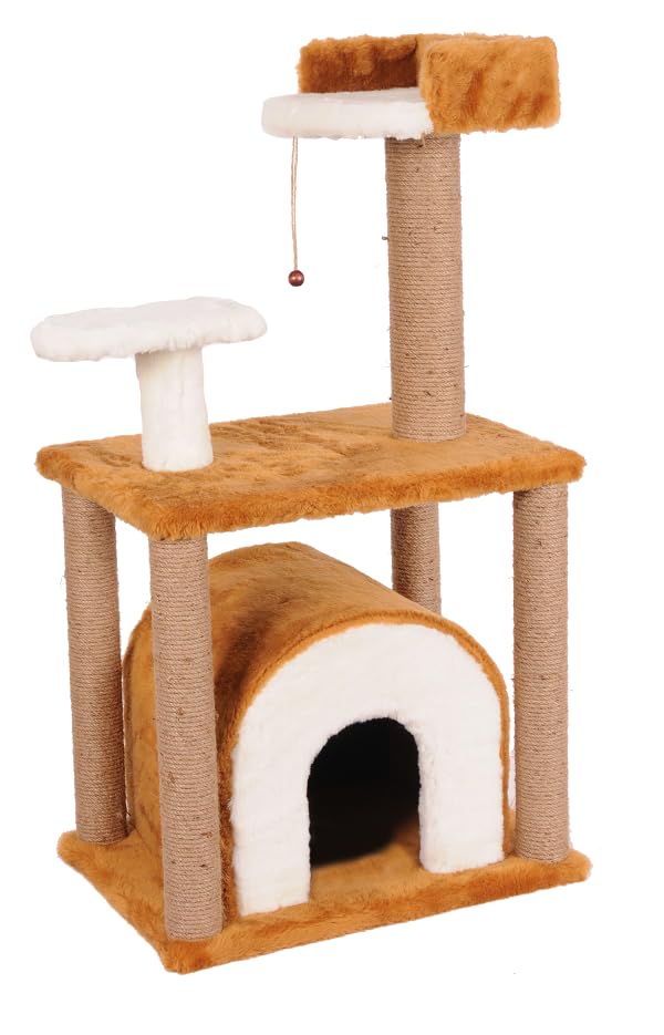 Mio Kedi Tırmalama, Efes, Kahverengi