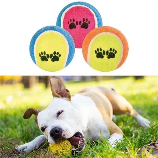 GüncelÇarşı 3lü Renkli Desenli Tenis Topu Kedi Köpek Oyuncağı