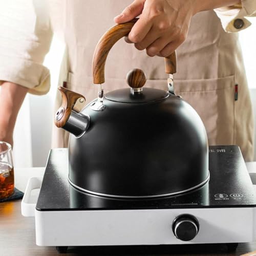 Valkyrie 3L Düdüklü Kettle Su Isıtıcı Çaydanlık Paslanmaz Çelik Yüksek Islıklı Siyah