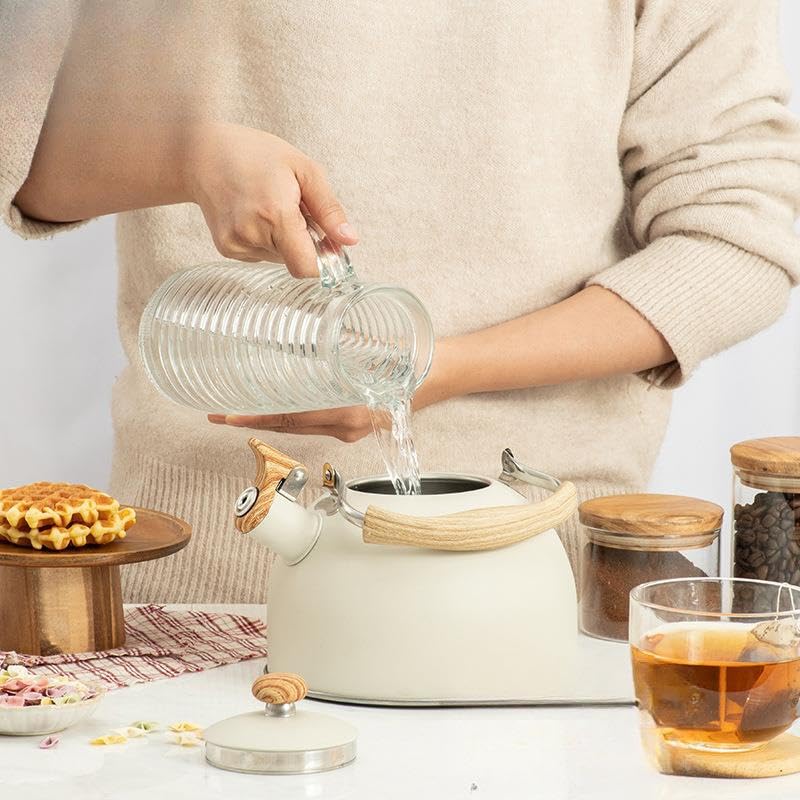 Valkyrie 2.5L Paslanmaz Çelik Düdüklü Su Isıtıcısı Demlik Islıklı Kettle