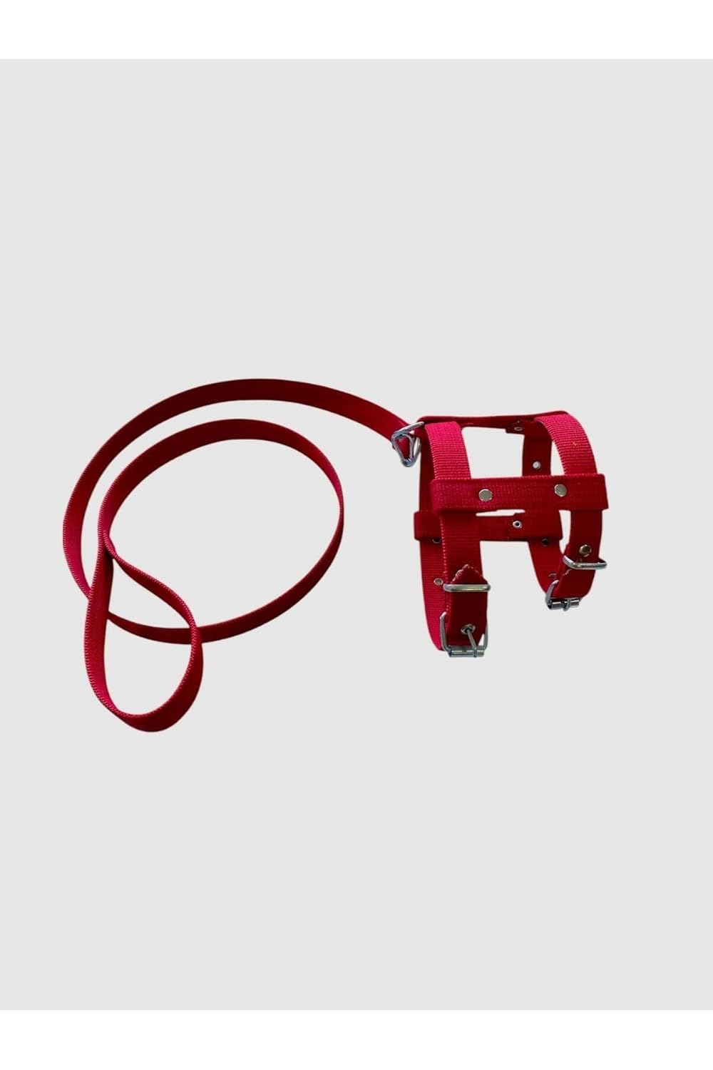 Küçük Boy Yavru Köpekler İçin Gezdirmeli Göğüs Tasması Kırmızı S