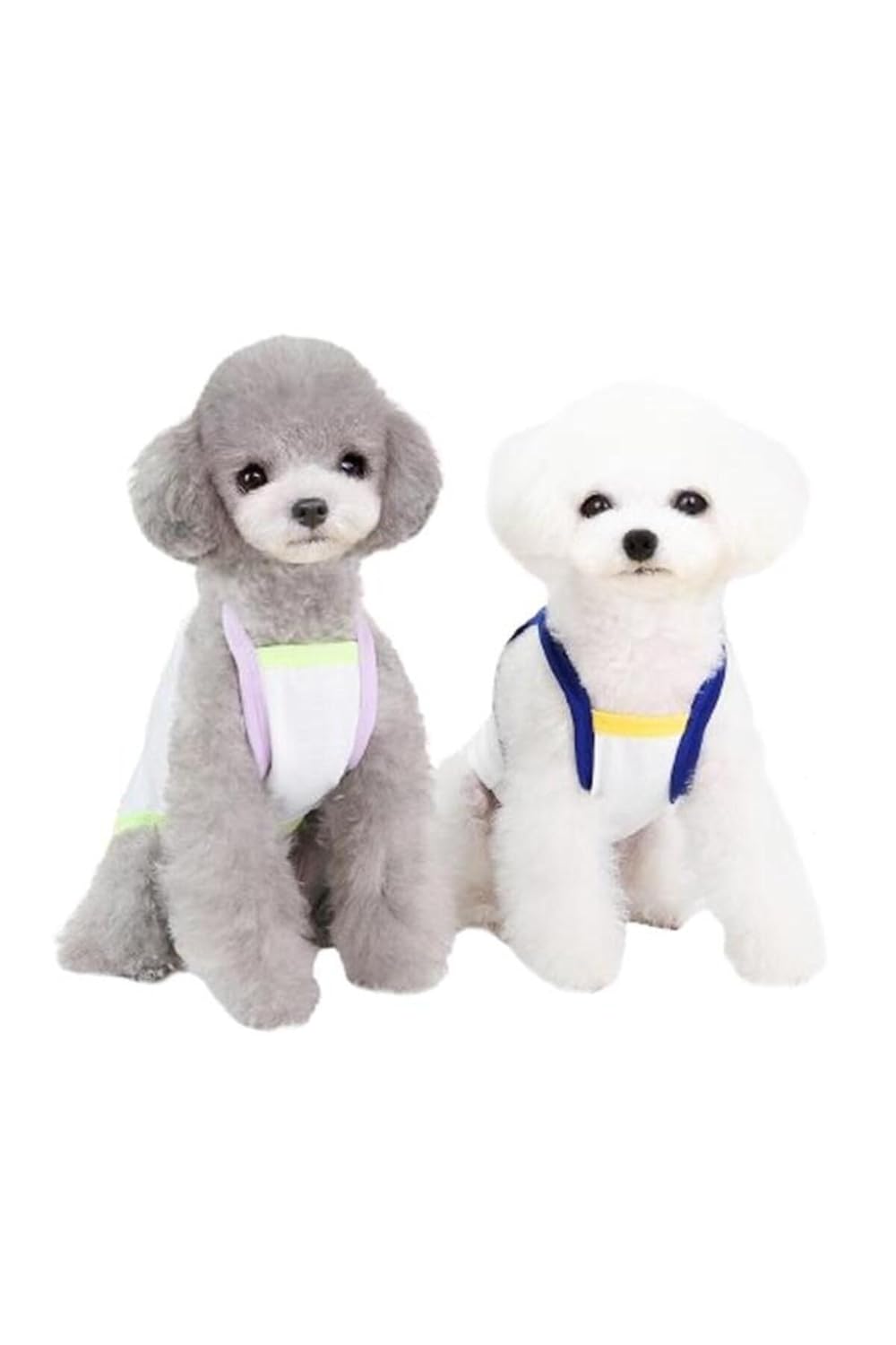 Glipet Bruch Desenli Köpek Kıyafeti Mavi XL