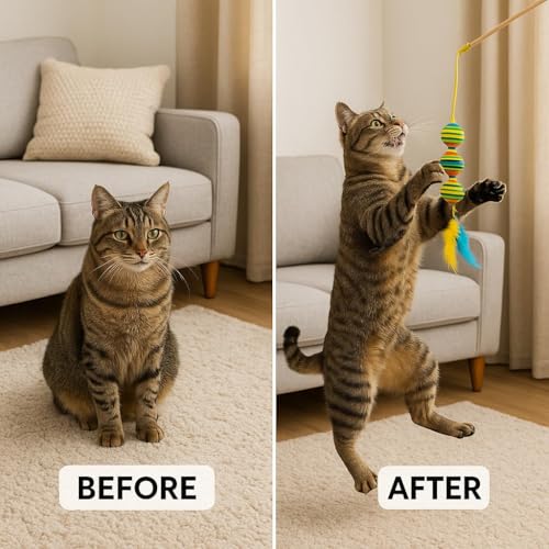 Busstier Kedi Oyun Oltası (Standart, Üç Top)