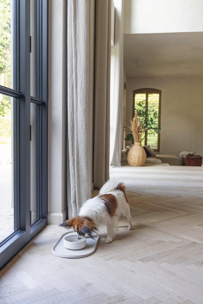 Beeztees DBL Köpek Mama Su Kabı, Bambu, Bej, 14cm, 410ml