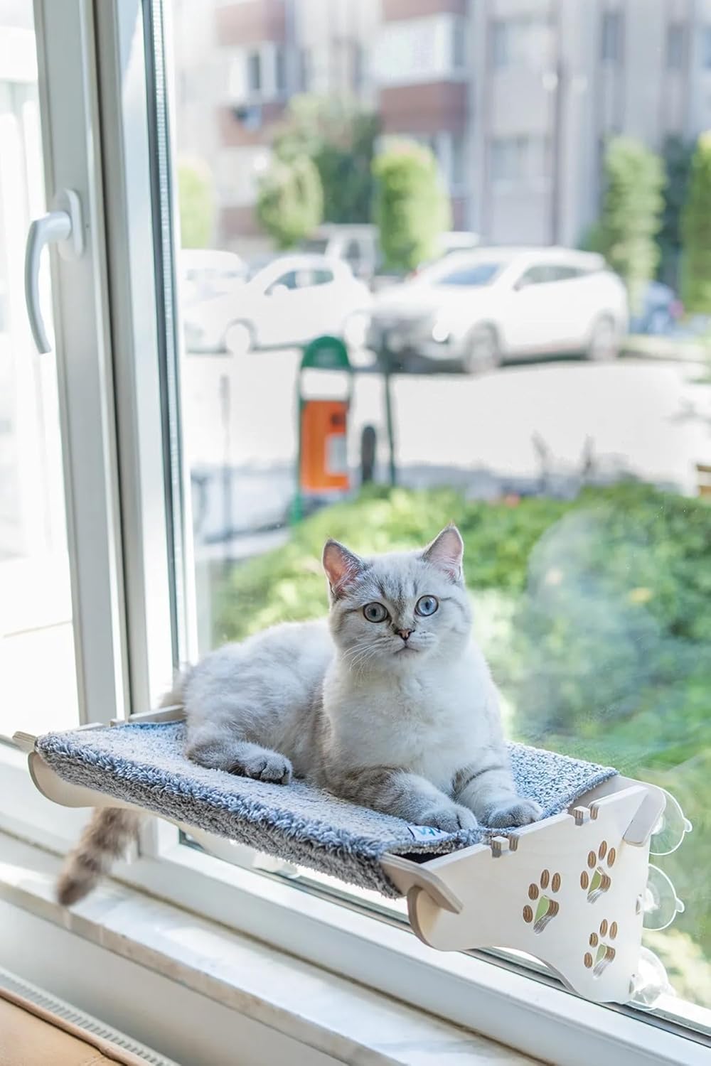 ATAPET Cama Asılan Vantuzlu Kedi Yatağı (Gri, X-Large)