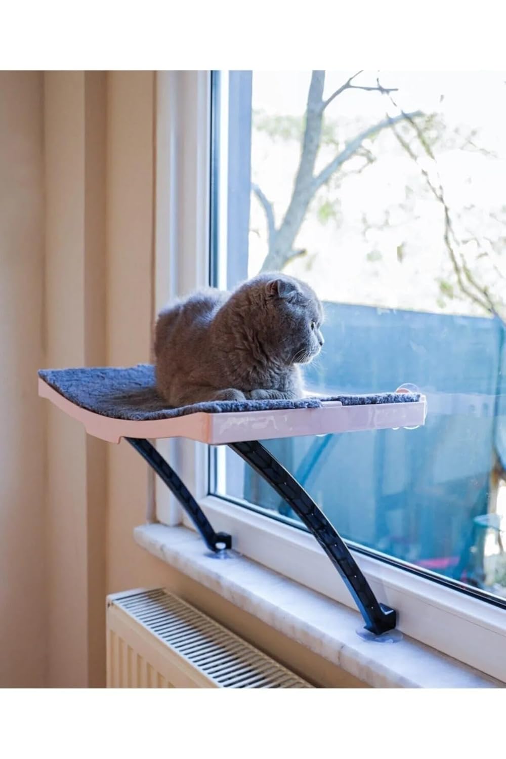 ATAPET Cama Asılan Vantuzlu Plastik Kedi Yatağı (Pembe)