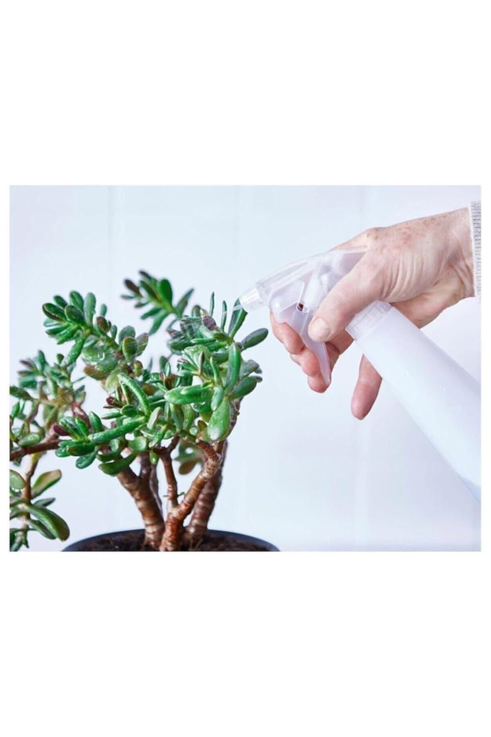 IKEA Beyaz Fısfıslı Sulama Sprey Şişesi 35 Cl Bitki Ve Mutfak Için Sprey Plastik 272727332679980