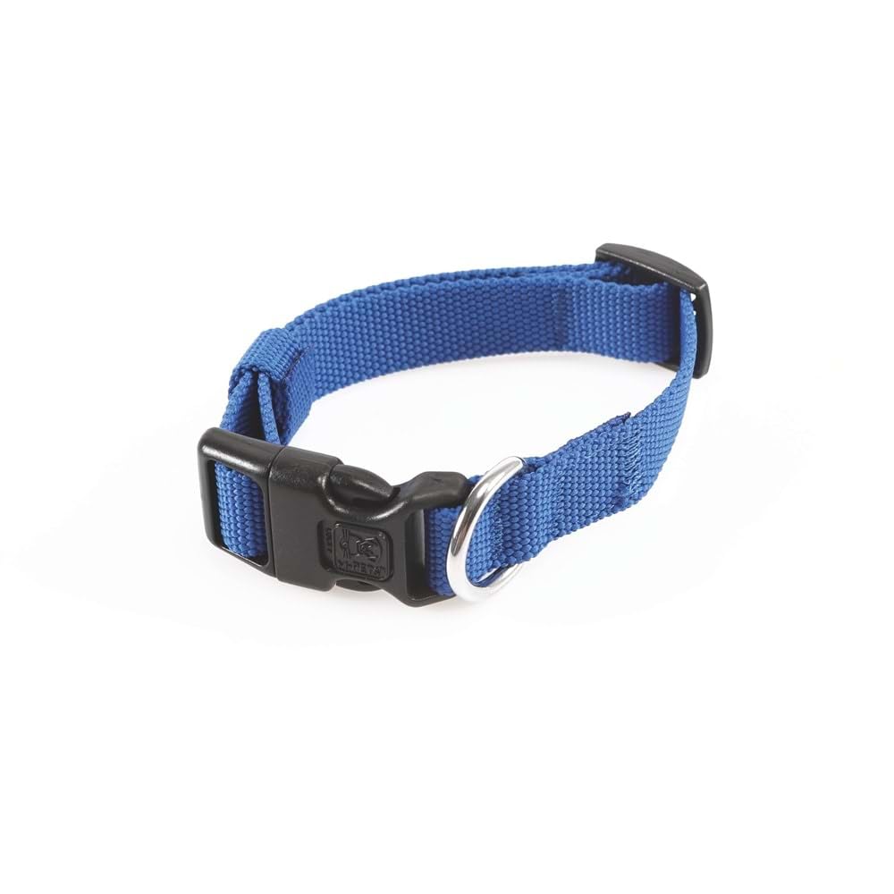 M-PETS JOLLY KÖPEK BOYUN TASMASI BLUE (S)