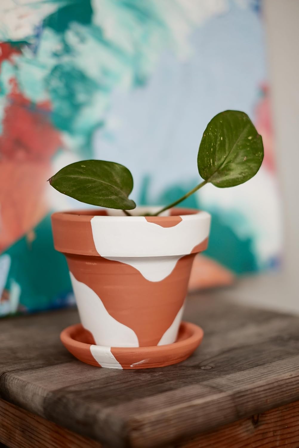 Terracotta Konik Saksı+Tabak • Bohem Beyaz (Küçük)