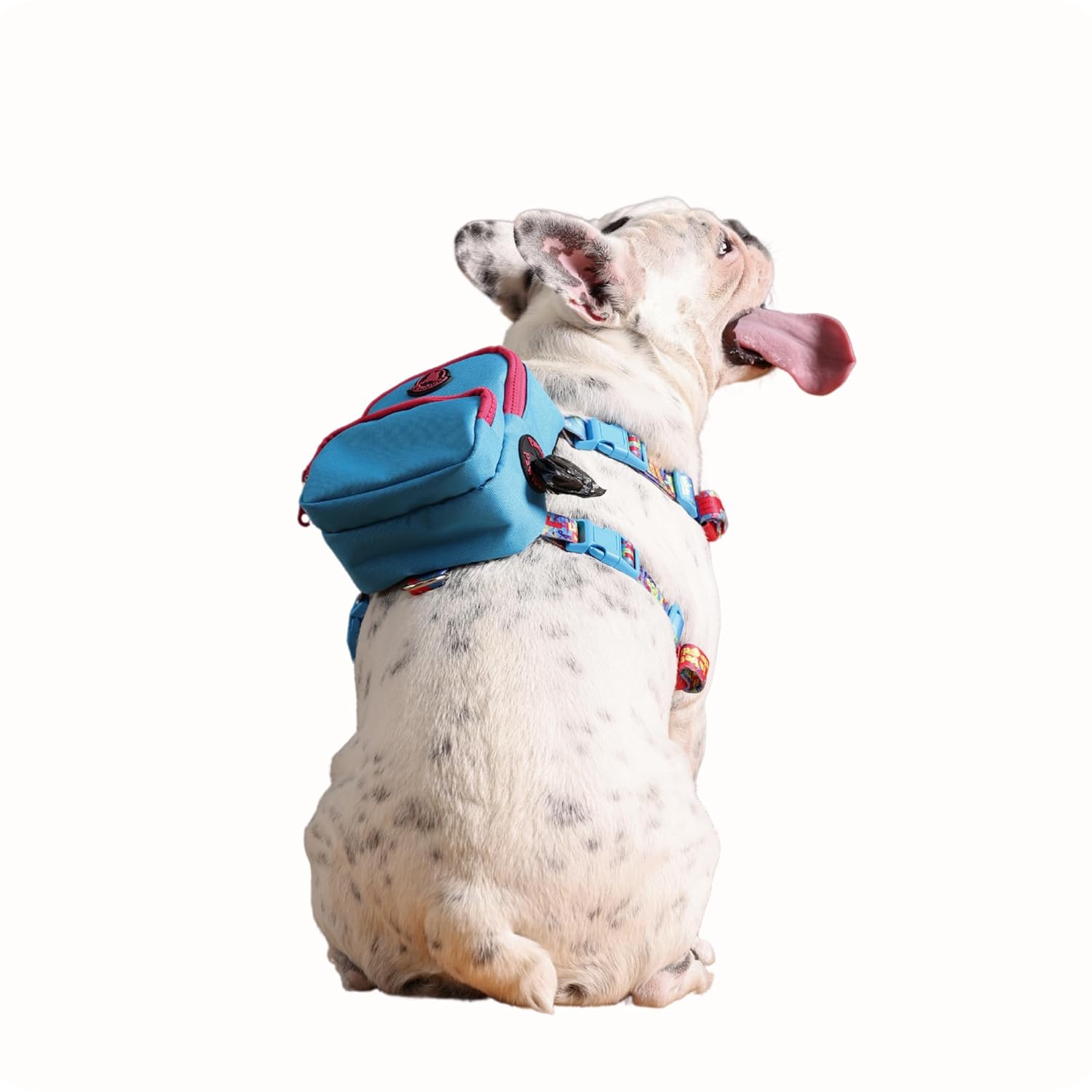 Pawlook Gimme Five Mavi Çantalı Göğüs Tasması Large Recycled