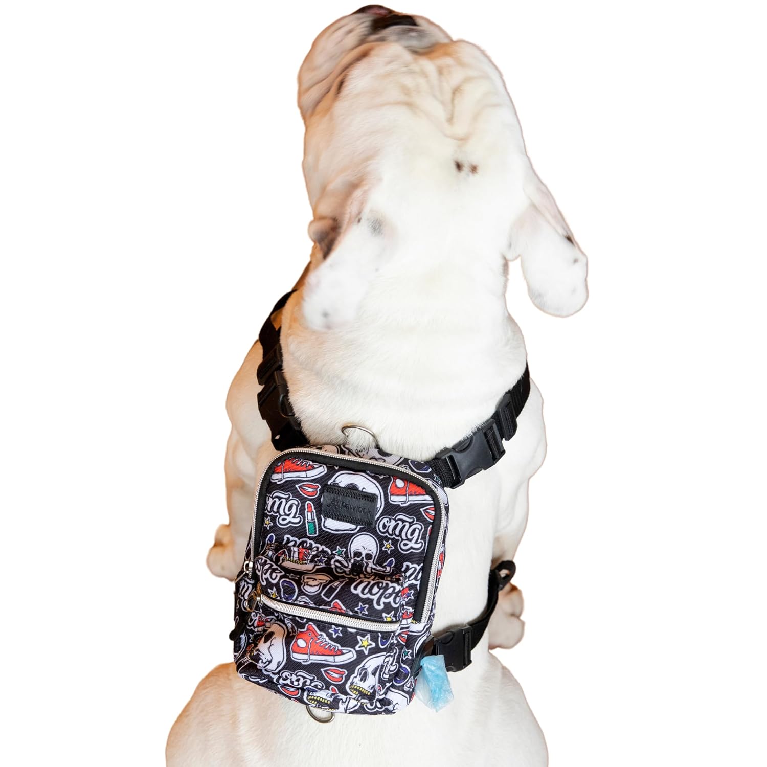 awlook Street Smart Köpek Sırt Çantası –Su Geçirmez, Göğüs Tasması Fonksiyonlu, Ayarlanabilir, Skull, Çantalı Göğüs Tasması Small
