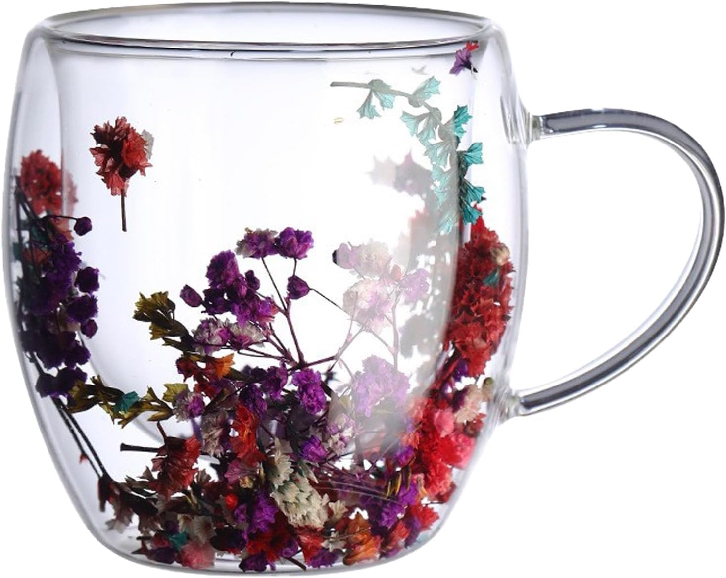 Busstier Çift Cidarlı Borosilikat Cam Bardak 2’li Set 250 ml Kurutulmuş Çiçek Detaylı Isıya Dayanıklı Kulplu Bardak, Şeffaf Estetik Çay Kahve Bardağı, Isı Yalıtımlı, Dayanıklı Cam Tasarım