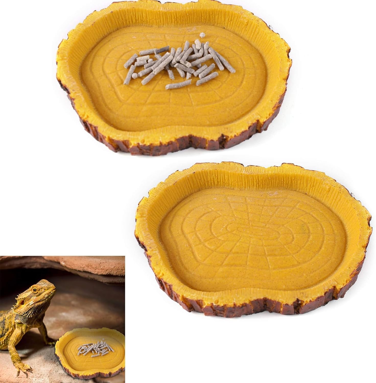 Bolivia's Yemek Kabı, Sürüngenler İçin Güvenli ve Sağlıklı Beslenme Çözümü, 2'li Set Su ve Mama Kabı, Doğal Görünümlü Dayanıklı Tasarım, Evcil Hayvan Bakımı İçin Pratik Aksesuar