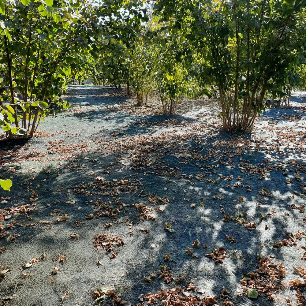 Morilu Fındık Toplama Filesi -%55'lik Kenarları Düz Yeşil File - Sera Gölgeliği - Bahçe Çevirme Filesi - 4 M x 1 M