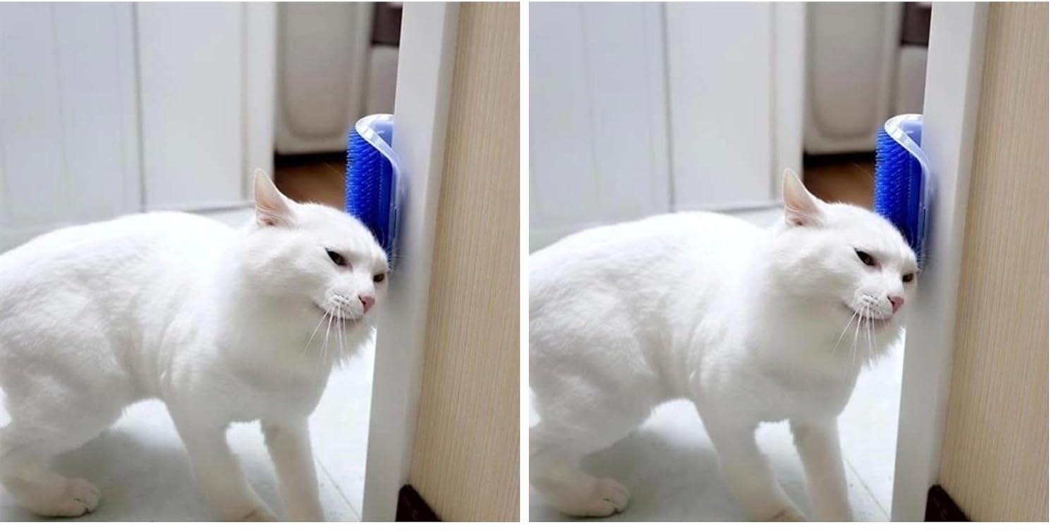 Kedi Kaşınma ve Taranma Aparatı Duvara Monte Edilebilir Kedi Kaşınma 2li paket