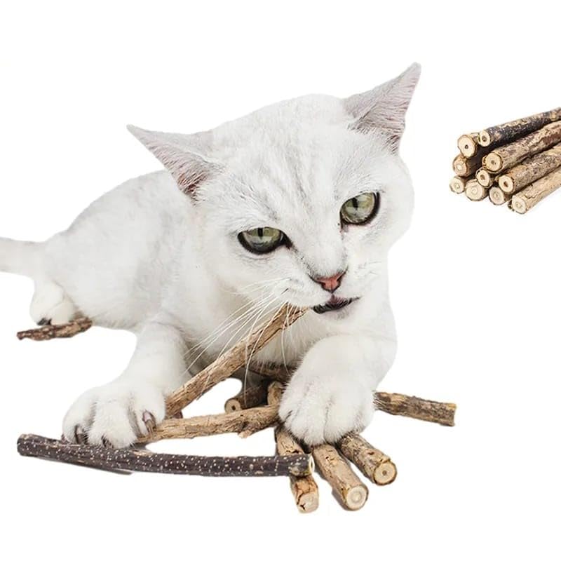 TİNEKE Doğal Matatabi Kedi Çiğneme Çubuğu 5 Adet 10 mm