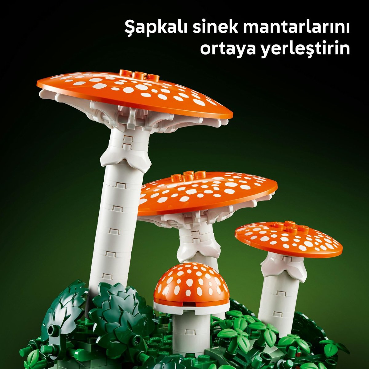 LEGO Botanicals Orman Mantarları 11505