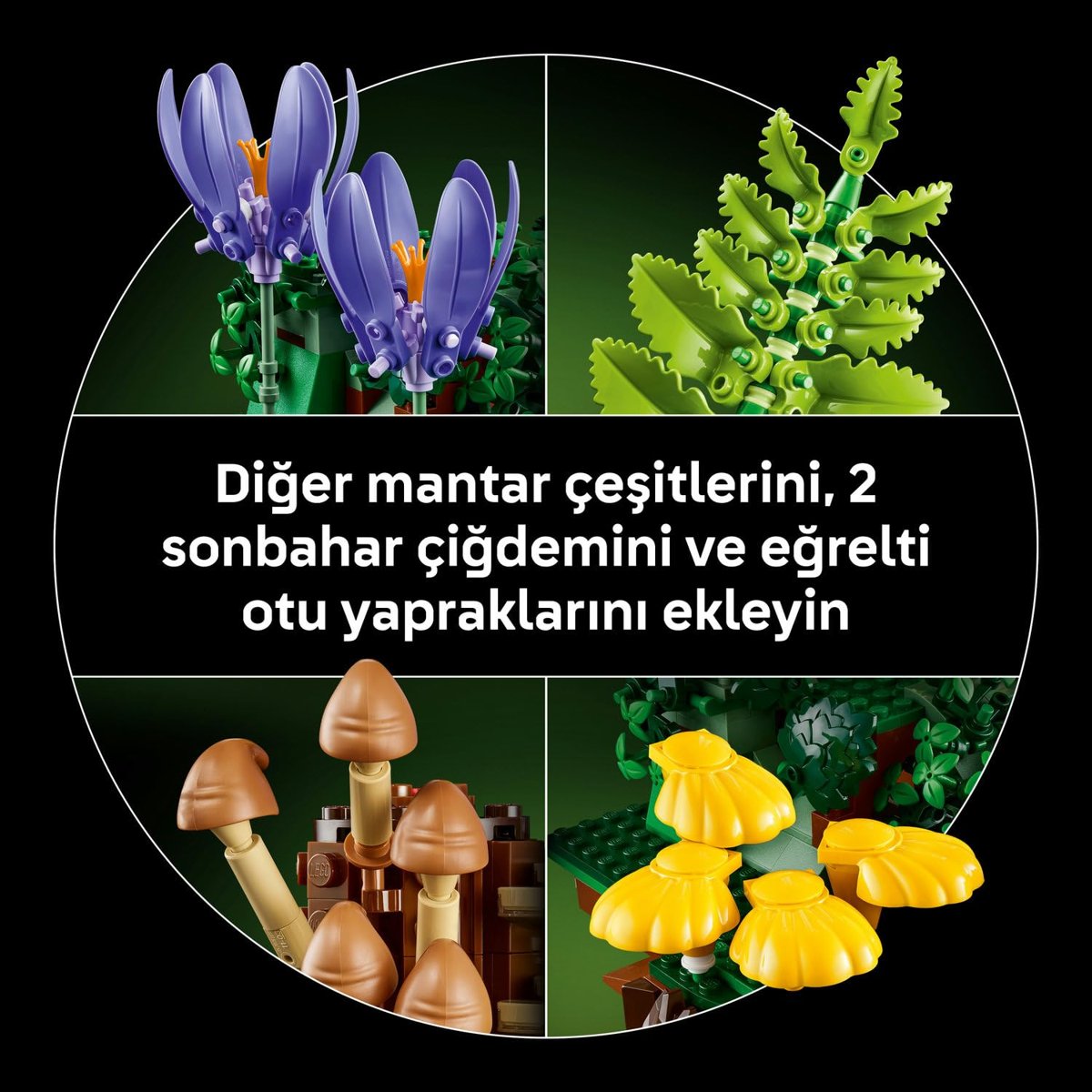 LEGO Botanicals Orman Mantarları 11505