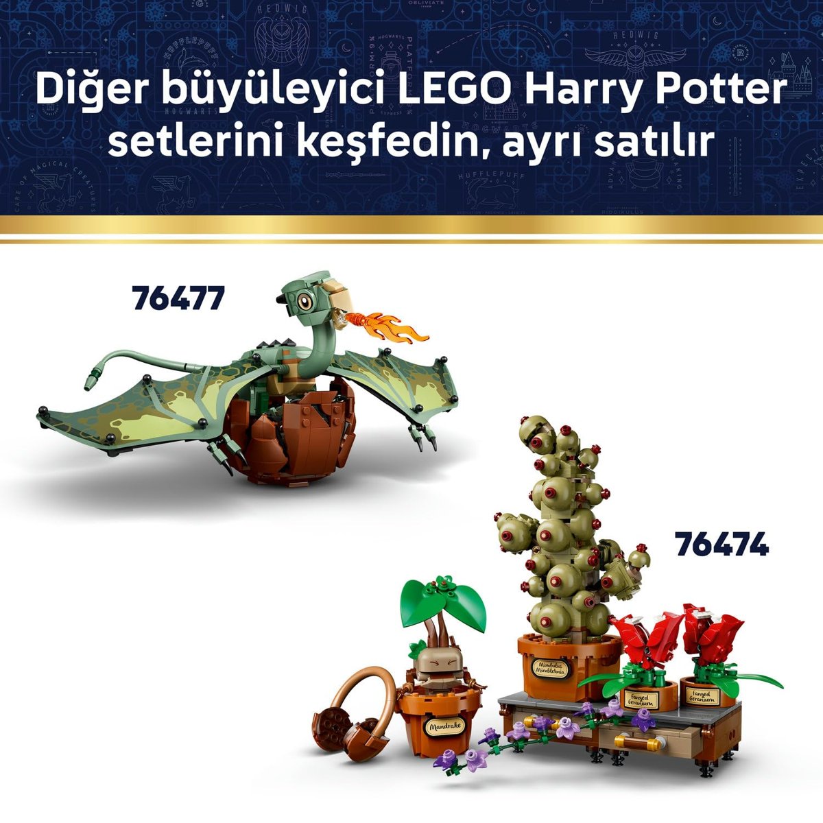 LEGO Harry Potter Özgür Ev Cini Dobby 76469