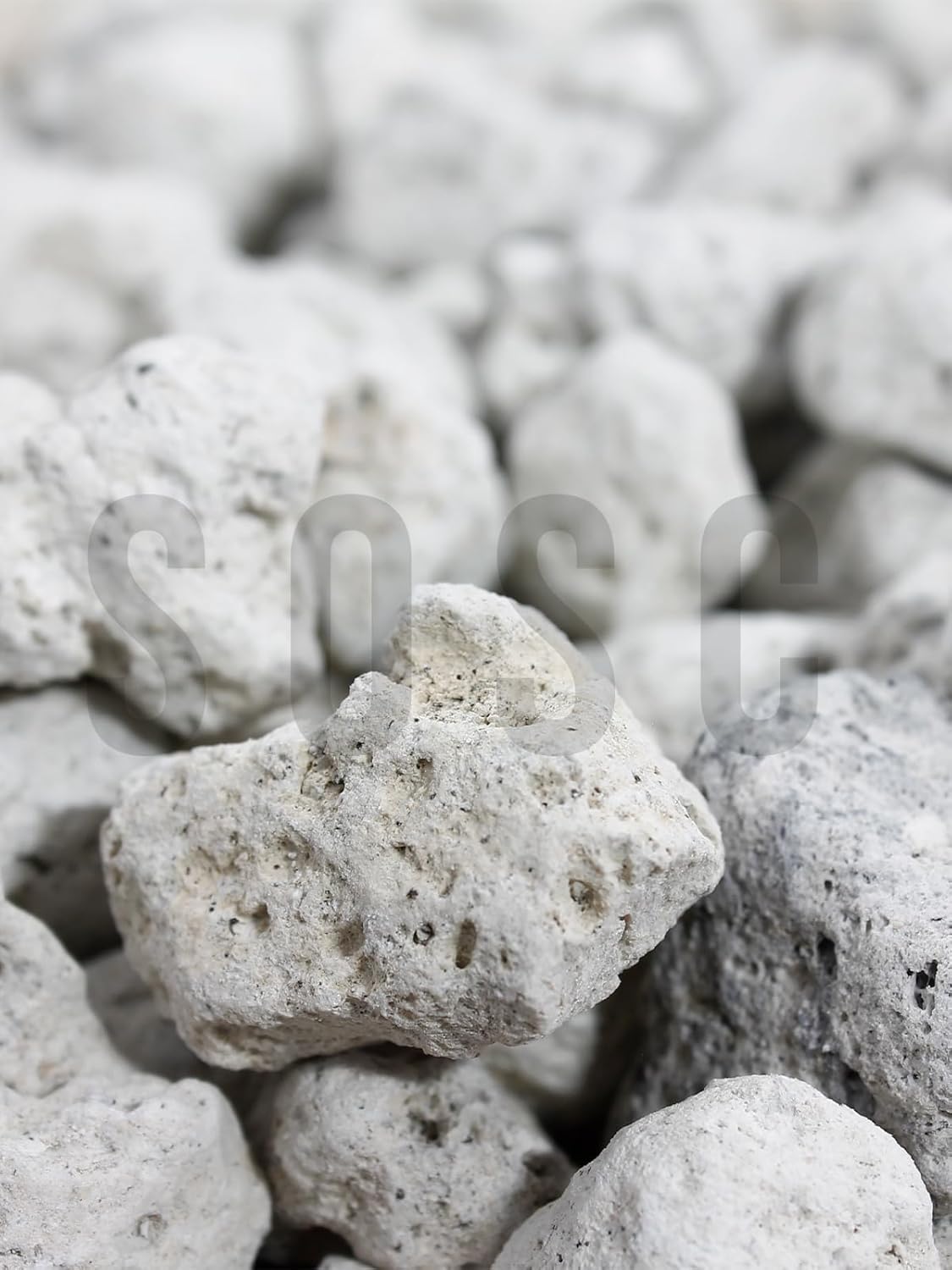 SOSC Natural Volkanik Beyaz Lav Taşı, Dekoratif Pomza, 2-4 cm, 1 Litre, Drenaj ve Toprak Nemlendirici Özellikli