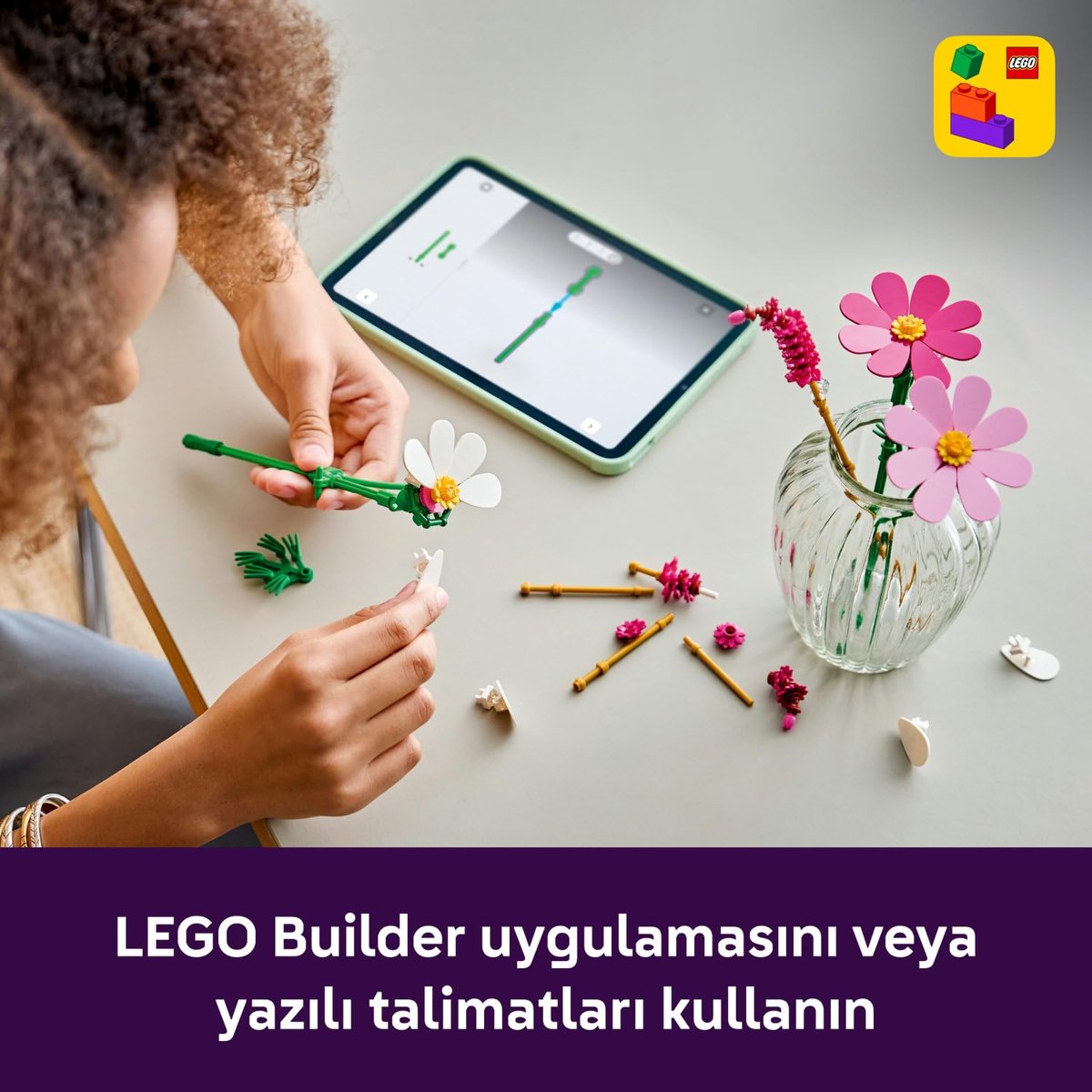LEGO Botanicals Kozmos Çiçekleri 11514