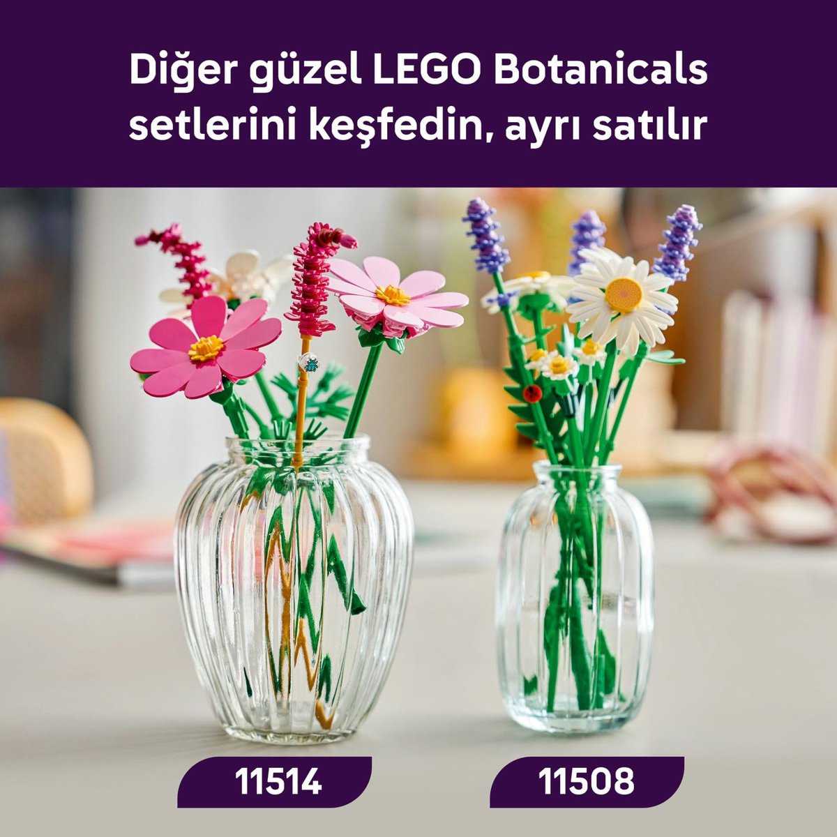 LEGO Botanicals Kozmos Çiçekleri 11514