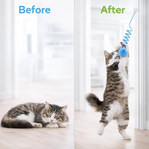 Busstier Yaylı Kedi Oyuncağı Tekli İnteraktif Toplu Kedi Oyuncağı Her Yere Asılabilir Asorti Renk Gönderim
