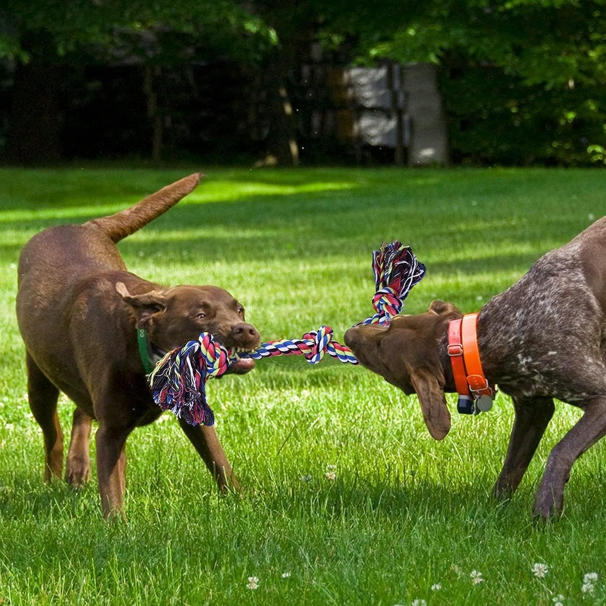 Valkyrie 2’li Büyük Boy Köpek Halat Oyuncağı Seti Isırma Çekiştirme Diş Kaşıma Eğitim İpi