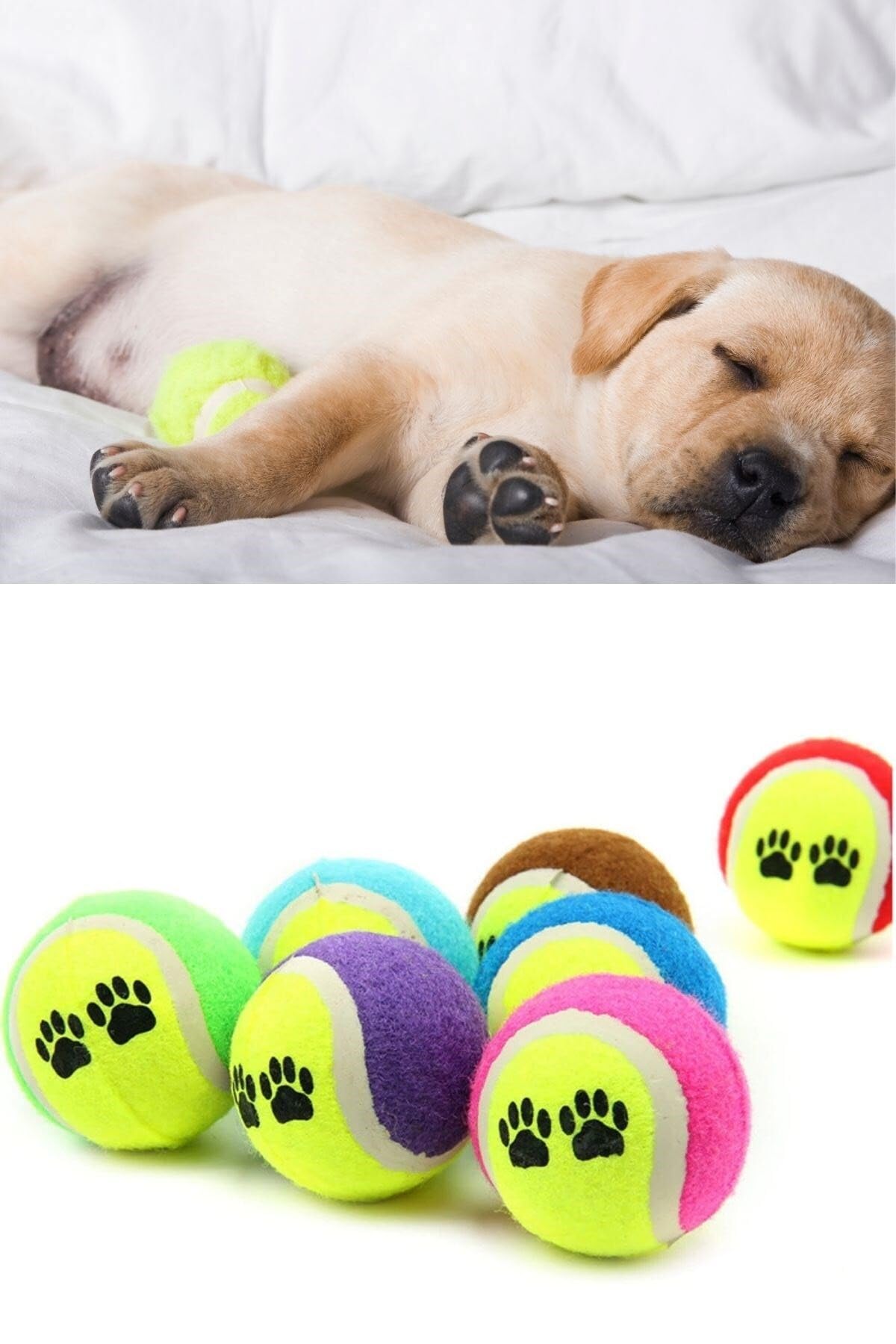 Buffer Renkli Desenli Tenis Topu Köpek Oyuncağı, 9 Adet, Karışık Renkli
