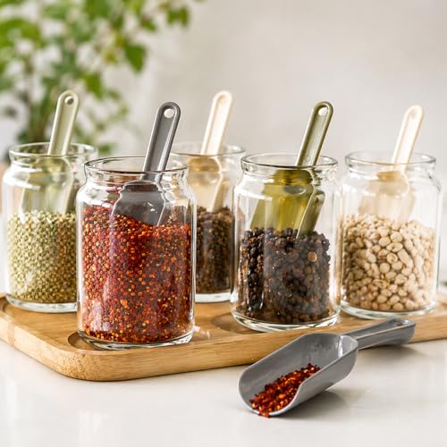 Orret Home 6’lı Mini Baharat Kaşığı Seti Plastik Ölçü Kaşığı Baharat Küreği Kahve Şeker Tuz Ölçme Kaşığı Halkalı Mutfak Ölçü Seti (ASORTİ RENK)