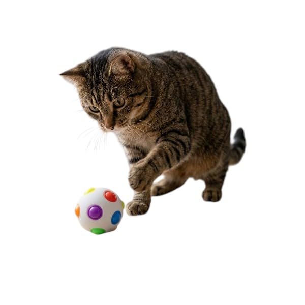 AEE® Disco Fever Darbeye Duyarlı Işıklı Kedi Topu 6 cm Zıplayan Hareketli Kedi Oyuncağı