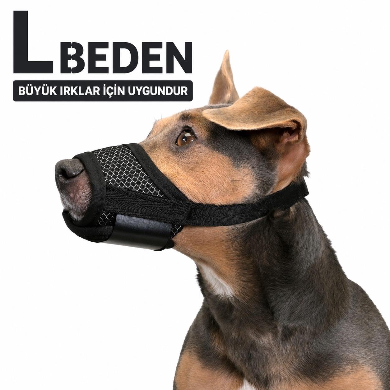 Valkyrie L Beden Köpek Ağızlığı Fileli Nefes Alabilen Ayarlanabilir Cırtlı Güvenli Köpek Ağızlığı
