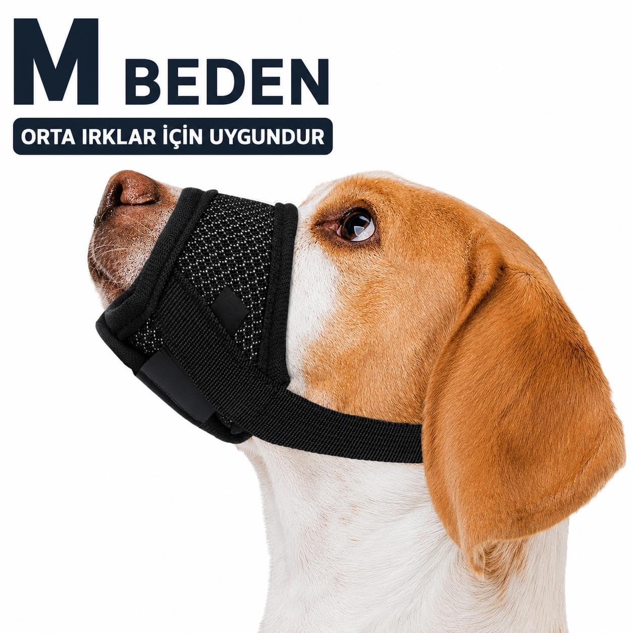 Valkyrie M Beden Köpek Ağızlığı Fileli Nefes Alabilen Ayarlanabilir Cırtlı Güvenli Köpek Ağızlığı