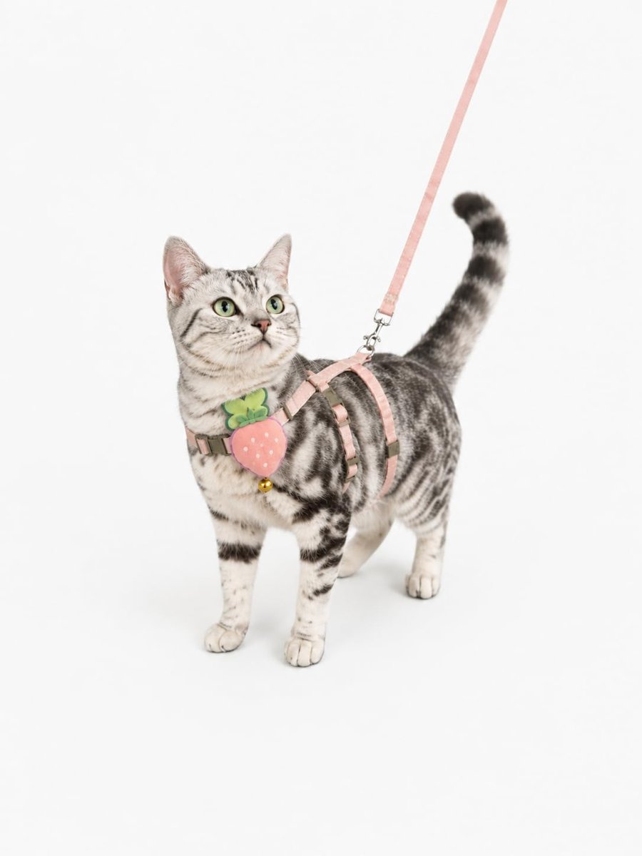 Çilek Figürlü Zilli Kedi Göğüs Tasması ve Gezdirme Kayışı(Pembe)
