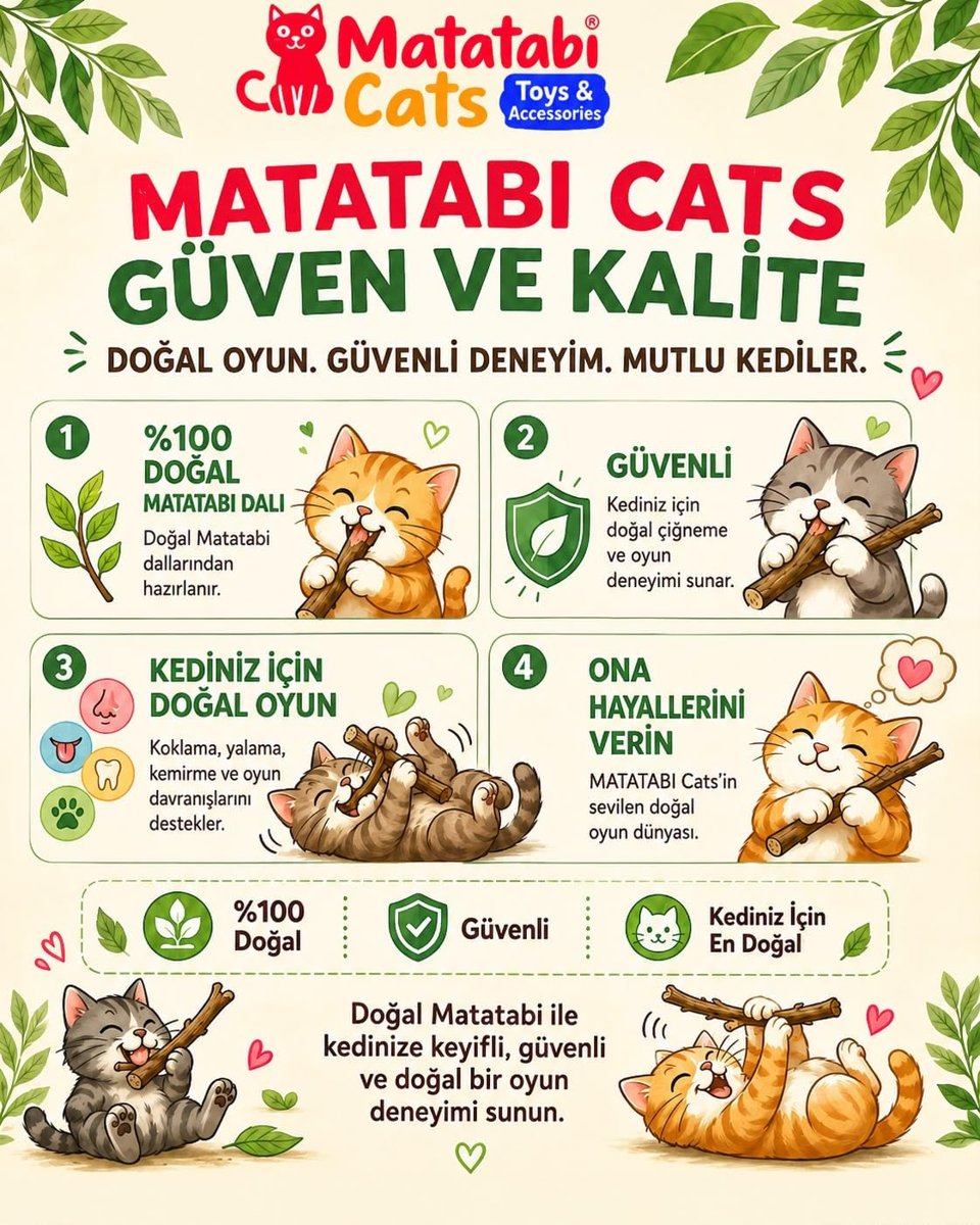 Mini Sticks 5’li |Doğal ince Matatabi çubuğu Kedi Oyuncağı | İnce Çiğneme Çubuğu | Kedi Diş Bakımı | 12 cm