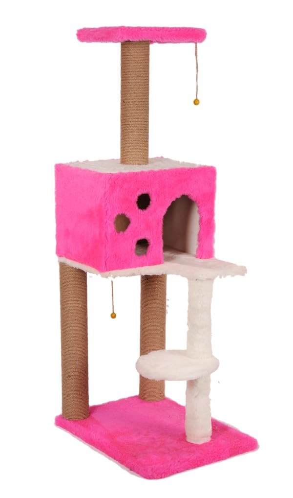 Mio Kedi Tırmalama, Nemrut, Pembe