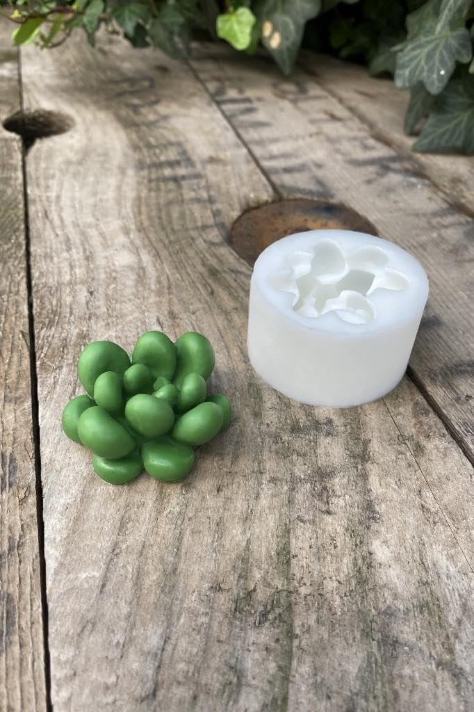 Rufus Concept Moonstone Sukulent Mum Kalıbı (Silikon)