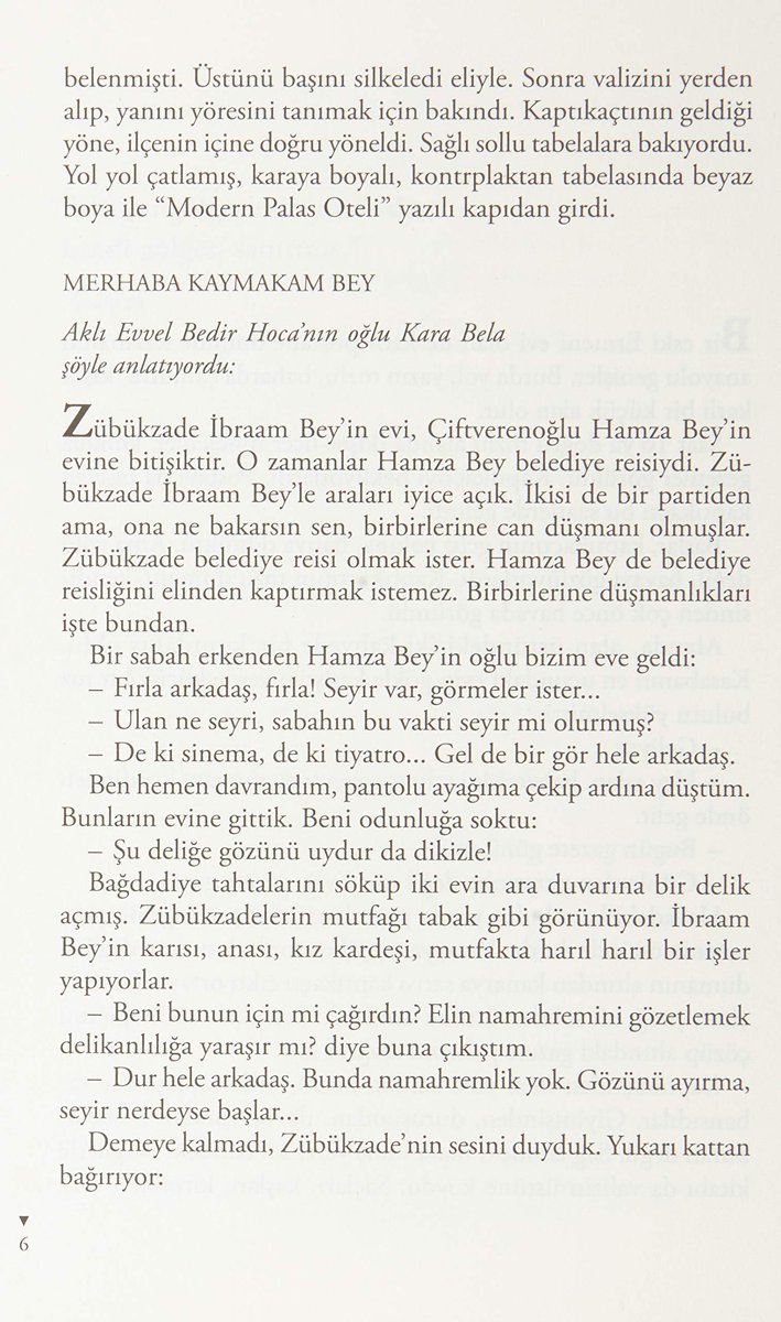 Zübük: Kağnı Gölgesindeki İt